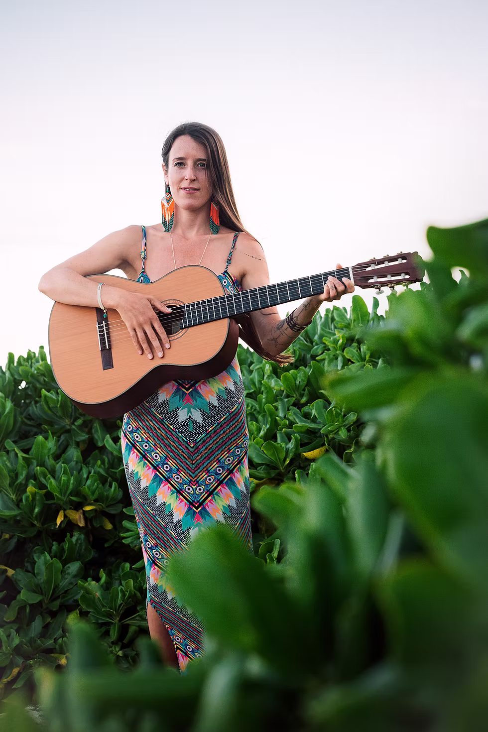 Essential Ayla Schafer Albums: A Listening Guide