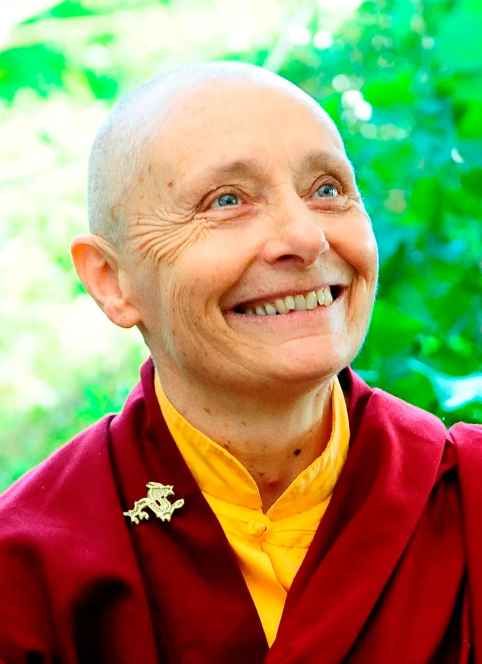 Where to Start with Jetsunma Tenzin Palmo: A Beginner's Guide