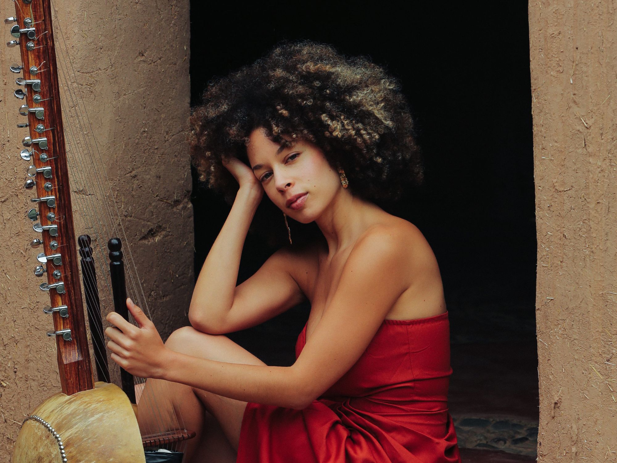 Essential Lubiana Albums: A Listening Guide