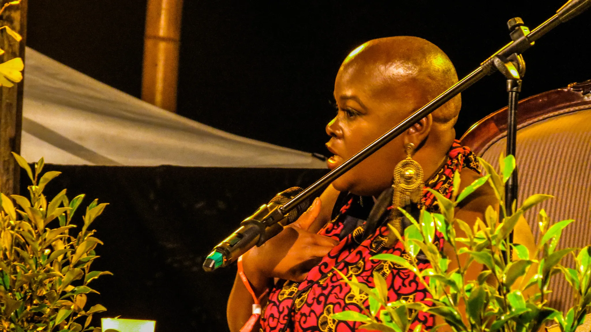 Sonya Renee Taylor's Teaching: Approach, Method, and Voice