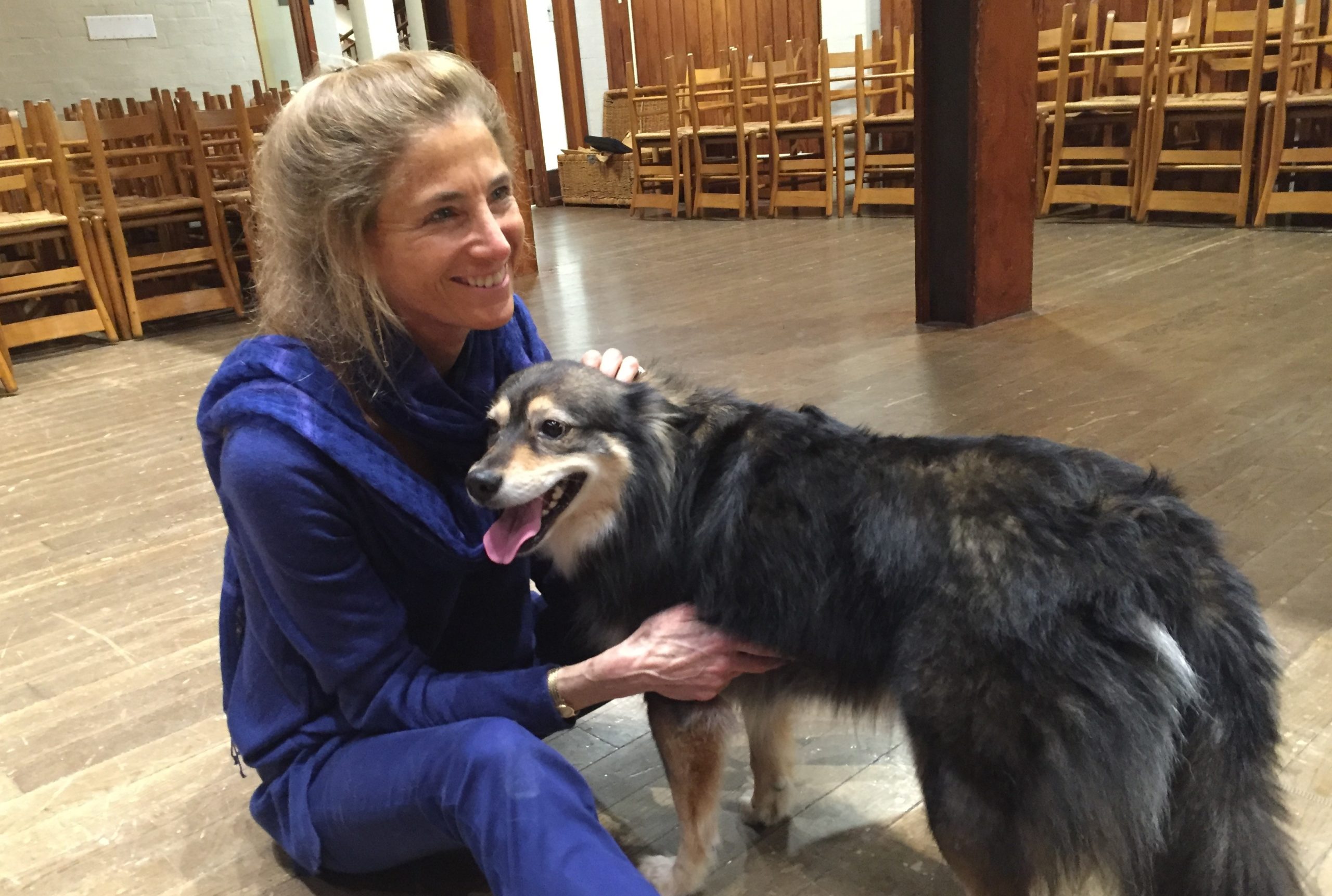 Where to Start with Tara Brach: A Beginner's Guide