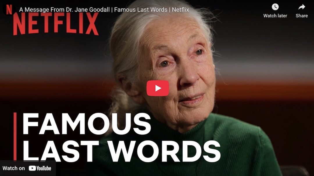 Jane Goodall’s Final Blessing: A Call to Hope, Harmony, and Higher Consciousness