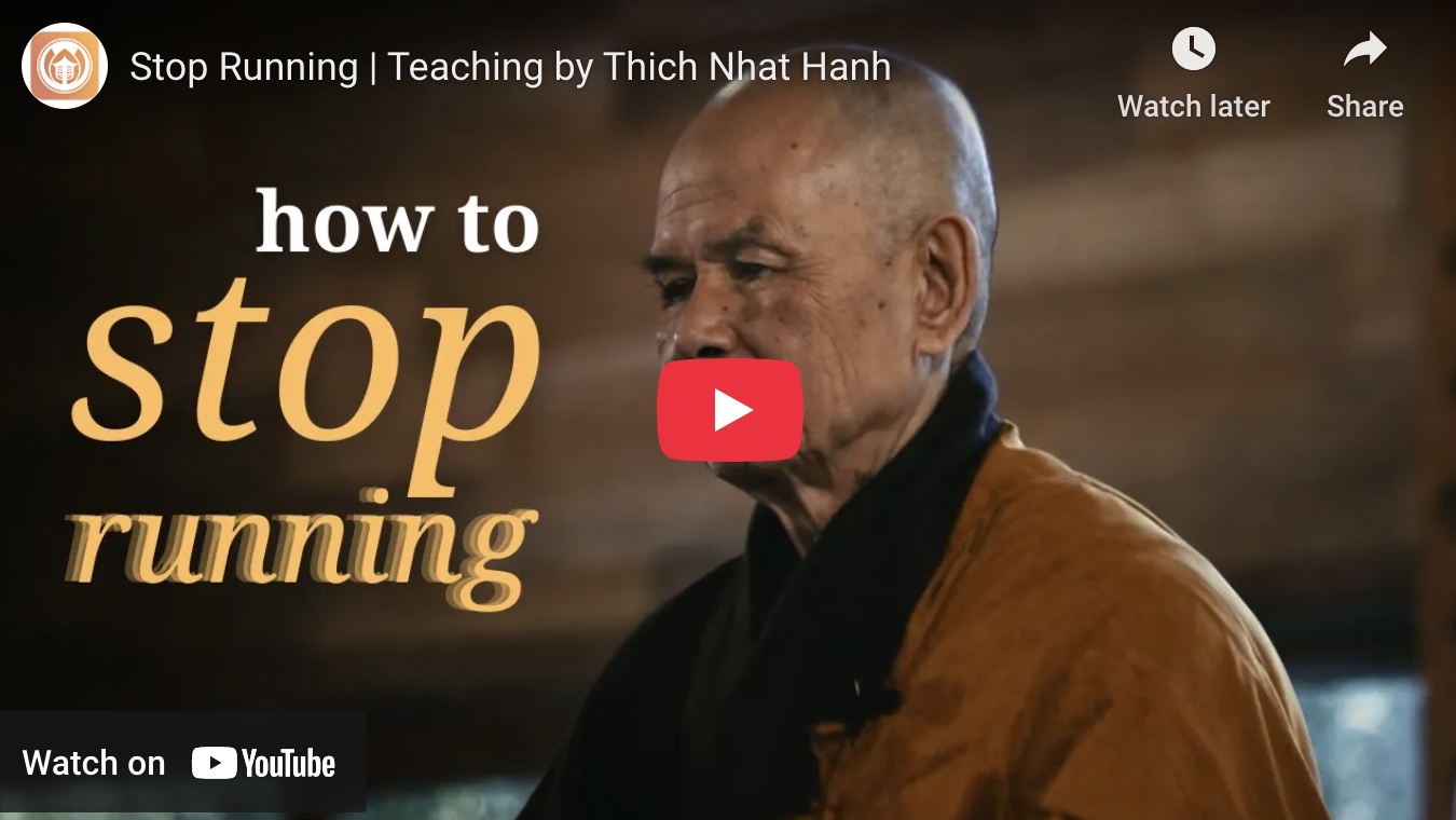 Stop Running: Thích Nhất Hạnh on