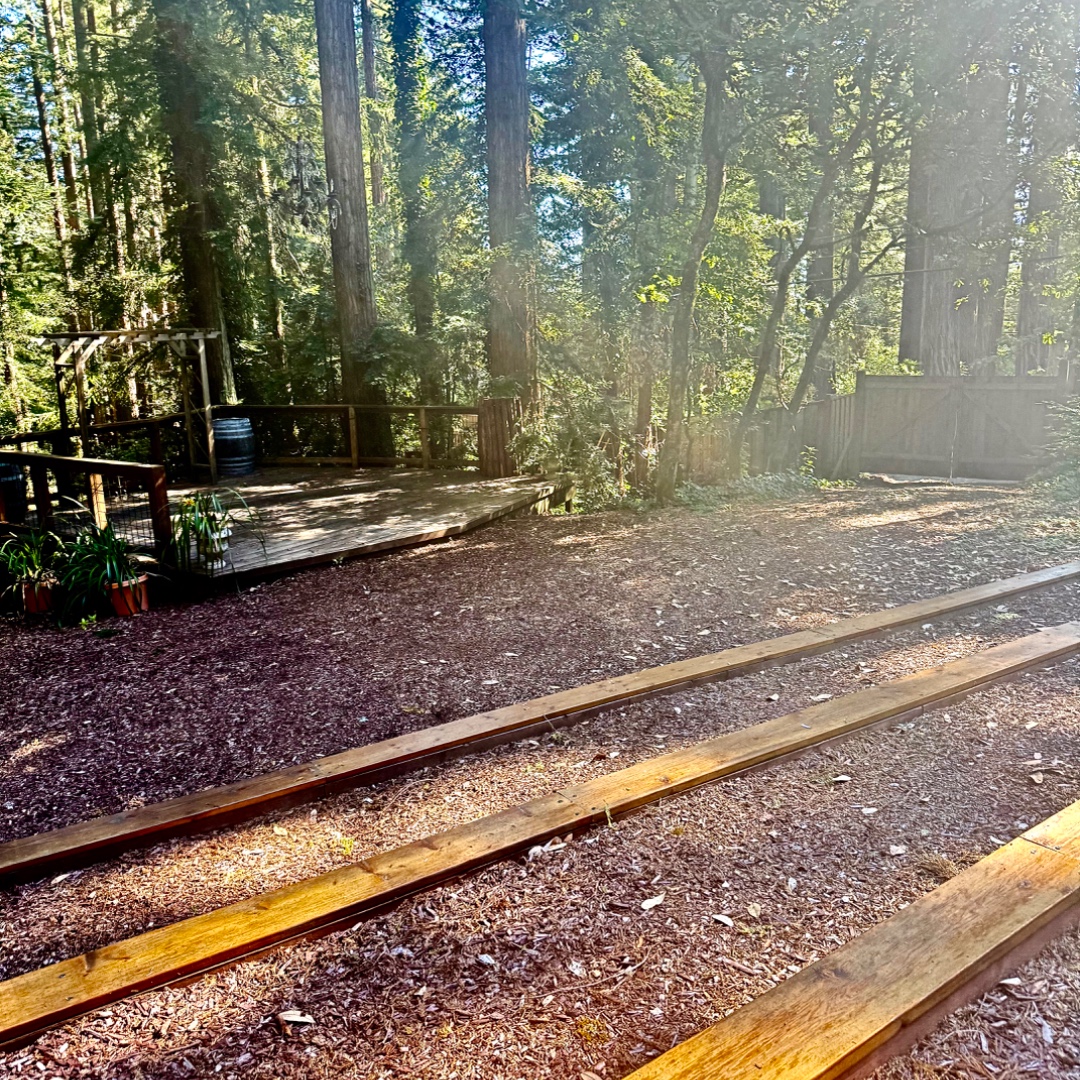 🌲Resonate in the Redwoods 9/20/2026, Woodside