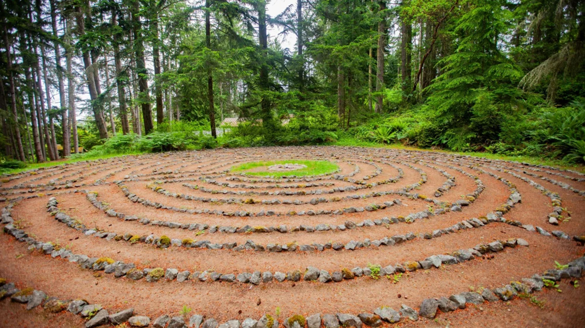 The Inner Compass Retreat Navigating Your Nature through Art and Qigong
