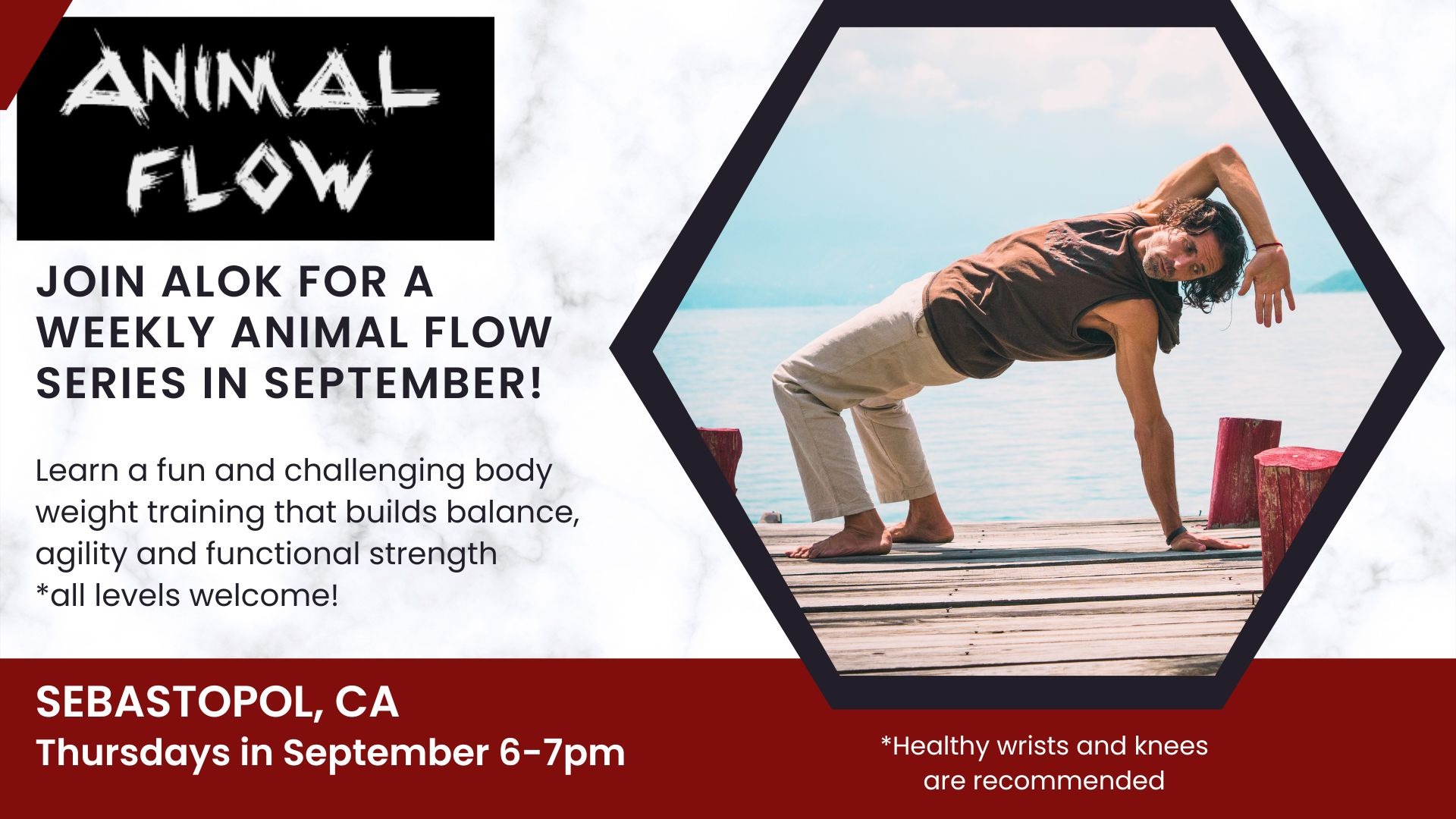 Animal Flow: Strength Meets Fluidity